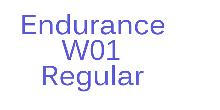 Endurance W01 Regular Font Download