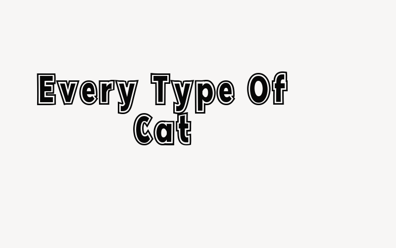 Every Type Of Cat Font