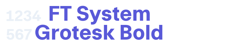 FT System Grotesk Bold-related font