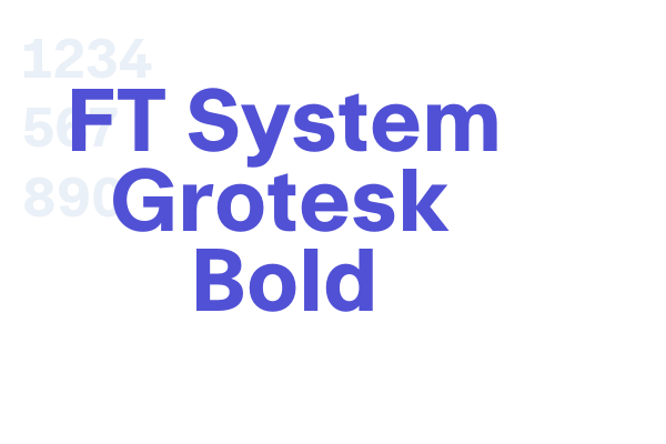 FT System Grotesk Bold