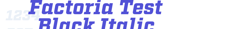 Factoria Test Black Italic-font