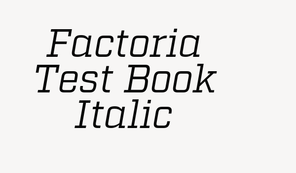 Factoria Test Book Italic Font