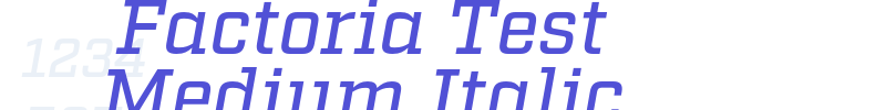 Factoria Test Medium Italic-font