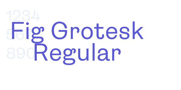 Fig Grotesk Regular font free