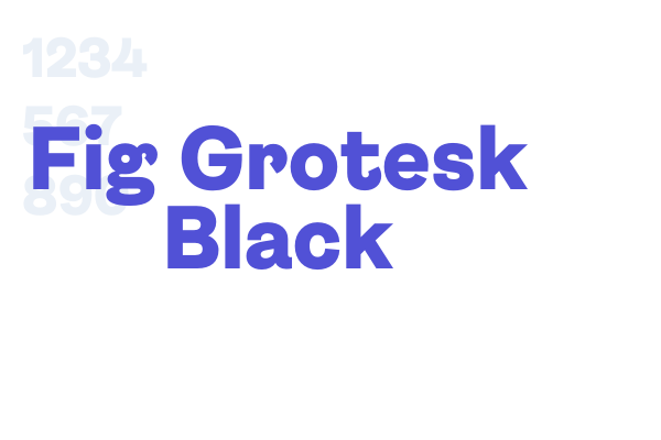 Fig Grotesk Black