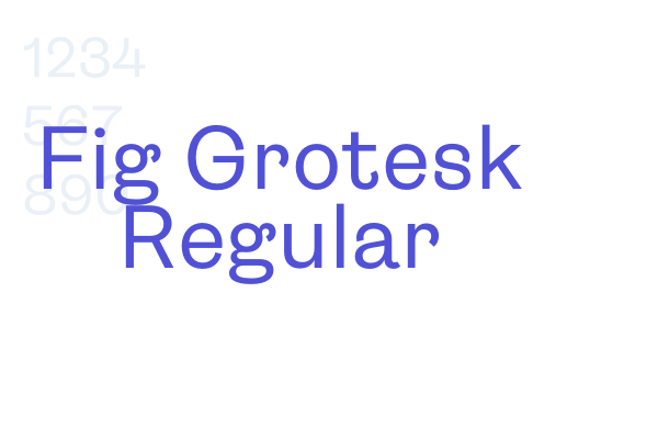 Fig Grotesk Regular