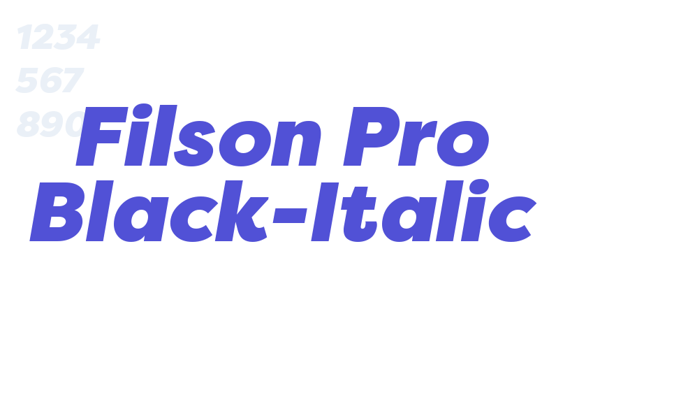 Filson Pro Black-Italic-font-download