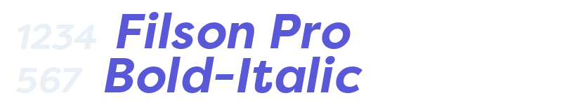 Filson Pro Bold-Italic-related font