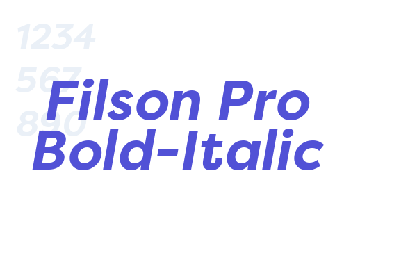 Filson Pro Bold-Italic