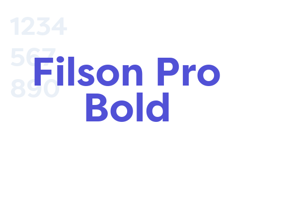 Filson Pro Bold