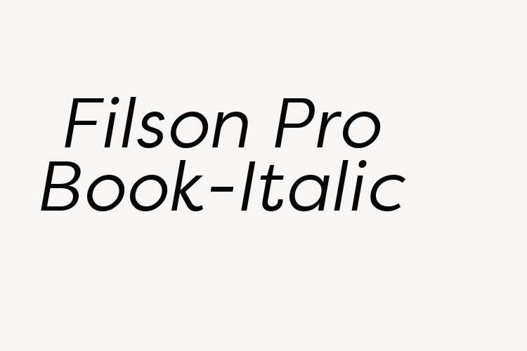 Filson Pro Book-Italic font download