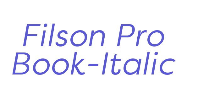 Filson Pro Book-Italic Font