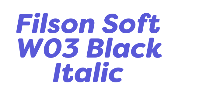 Filson Soft W03 Black Italic Font Download