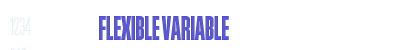 Flexible Variable