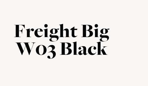 Freight Big W03 Black Font