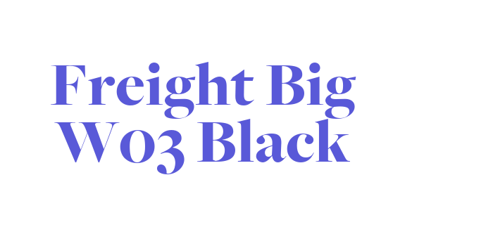 Freight Big W03 Black Font Download