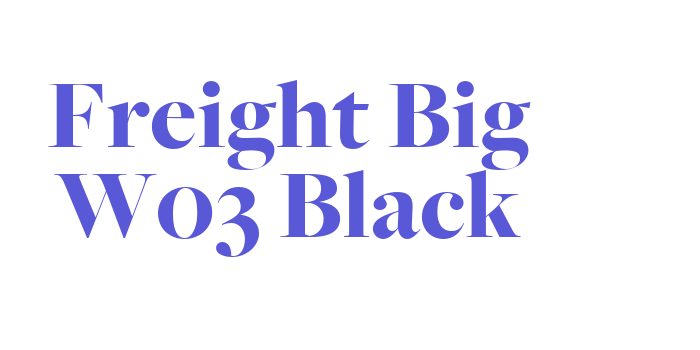 Freight Big W03 Black Font