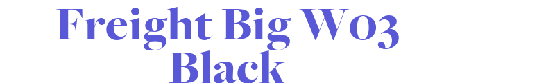 Freight Big W03 Black