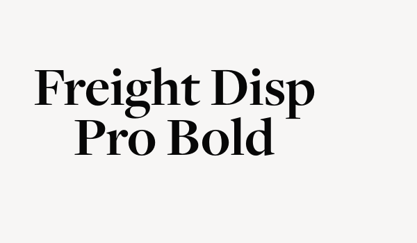 Freight Disp Pro Bold Font