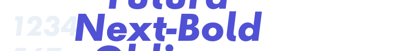 Futura Next-Bold Oblique-font