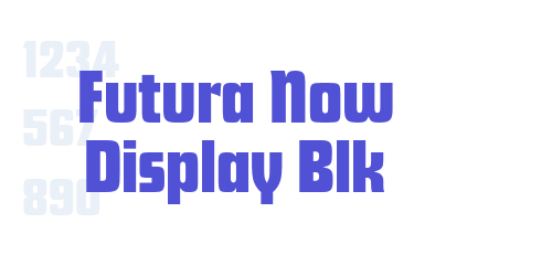 Futura Now Display Blk-font-download