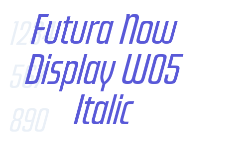 Futura Now Display W05 Italic Font Download