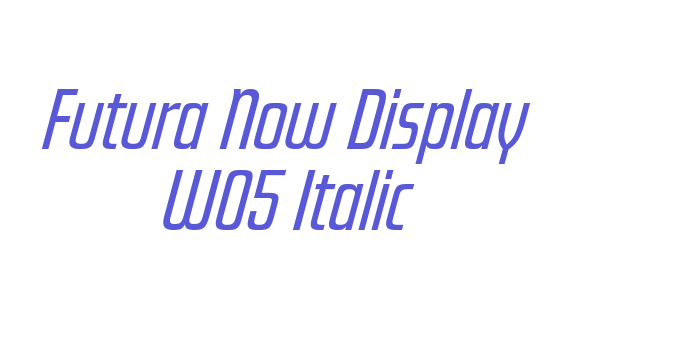 Futura Now Display W05 Italic Font Download