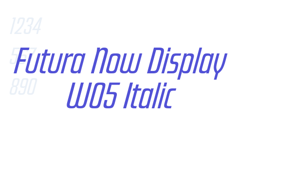 Futura Now Display W05 Italic font download