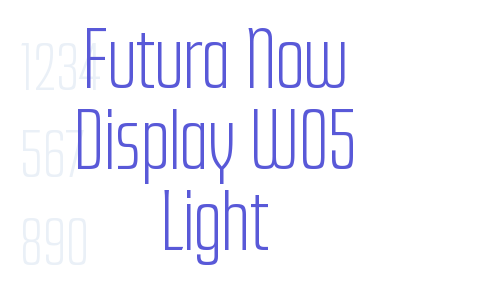 Futura Now Display W05 Light Font Download