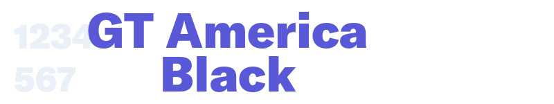 GT America Black-related font