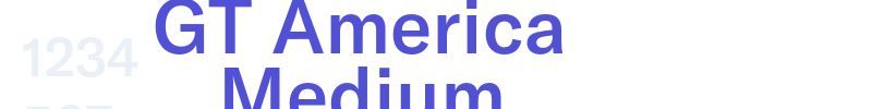 GT America Medium-font