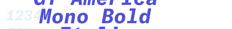 GT America Mono Bold Italic-font