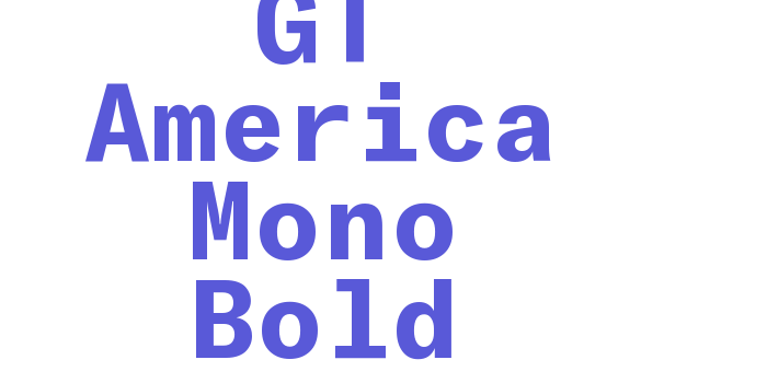 GT America Mono Bold Font