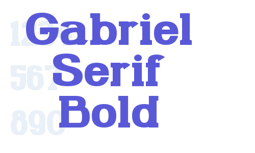 Gabriel Serif Bold Font Download