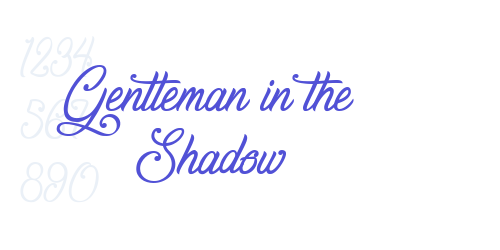 Gentleman in the Shadow