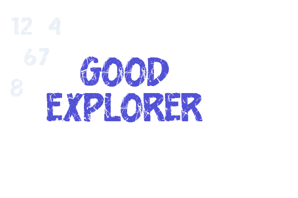 Good Explorer