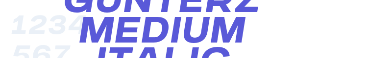 Gunterz Medium Italic font