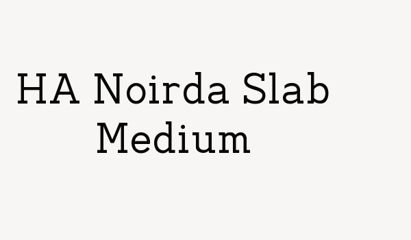 HA Noirda Slab Medium Font