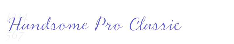 Handsome Pro Classic-related font