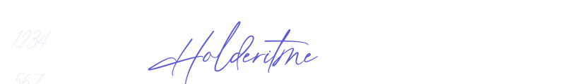 Holderitme font download