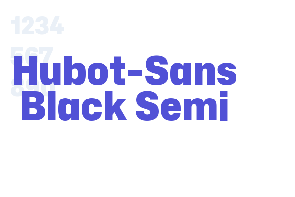 Hubot-Sans Black Semi