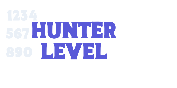 Hunter Level font