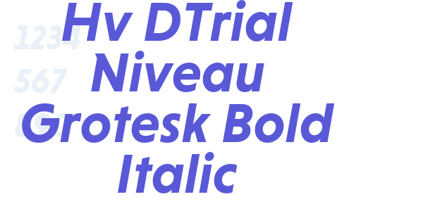 Hv DTrial Niveau Grotesk Bold Italic font free