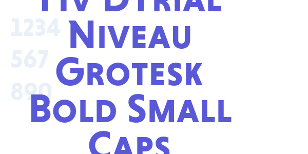 Hv DTrial Niveau Grotesk Bold Small Caps font free