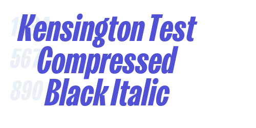 Kensington Test Compressed Black Italic