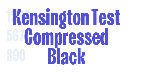 Kensington Test Compressed Black