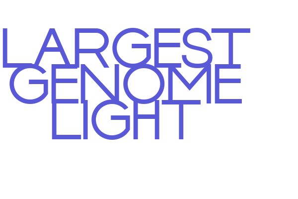 LARGEST GENOME LIGHT Font