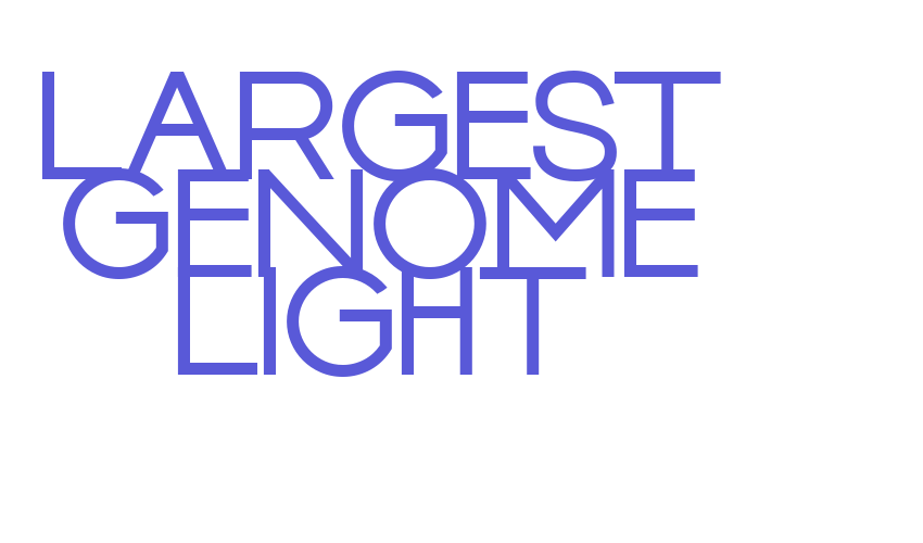 LARGEST GENOME LIGHT Font