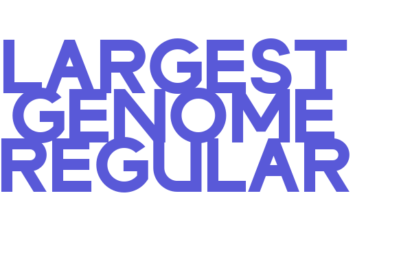 LARGEST GENOME REGULAR Font