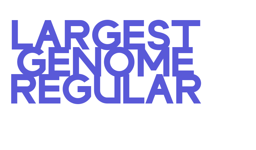 LARGEST GENOME REGULAR Font